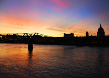 Swan London Bar, Restaurant and Private Dining by the River Thames
